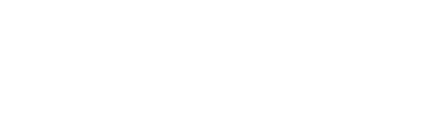 travellersocks